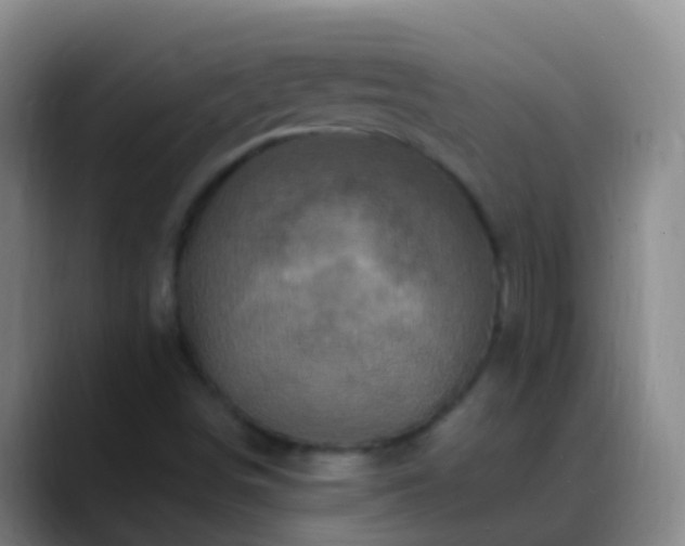 X0000088891498200706151820