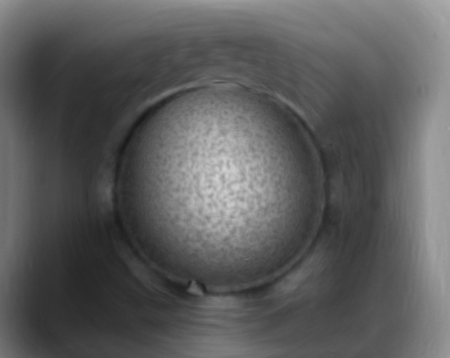 X0000088891499200706151820