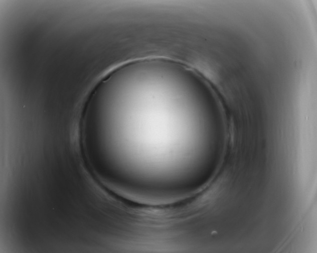 X0000088891500200706151820