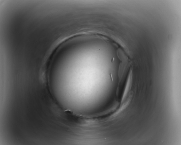 X0000088891501200706151820