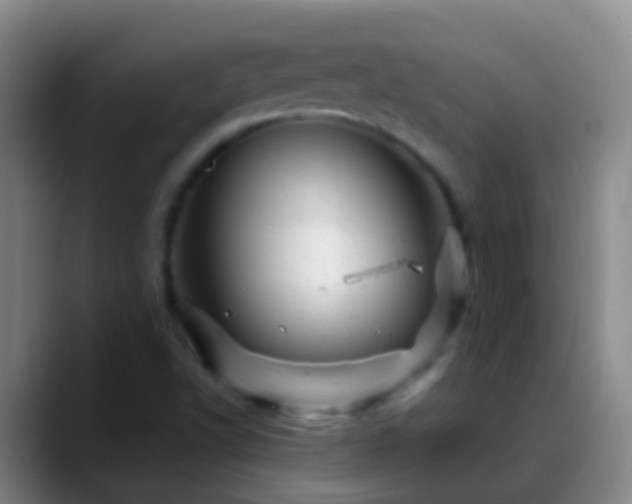 X0000088891502200706151820