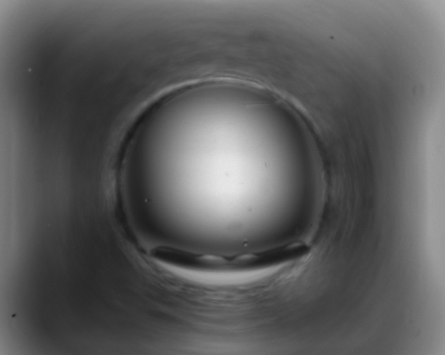 X0000088891503200706151820