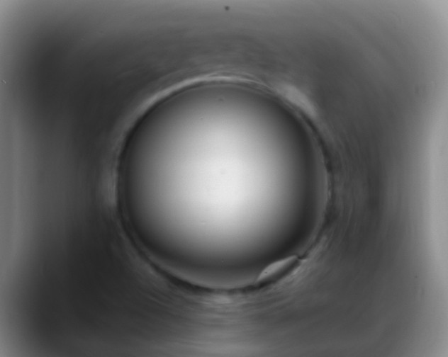 X0000088891504200706151820