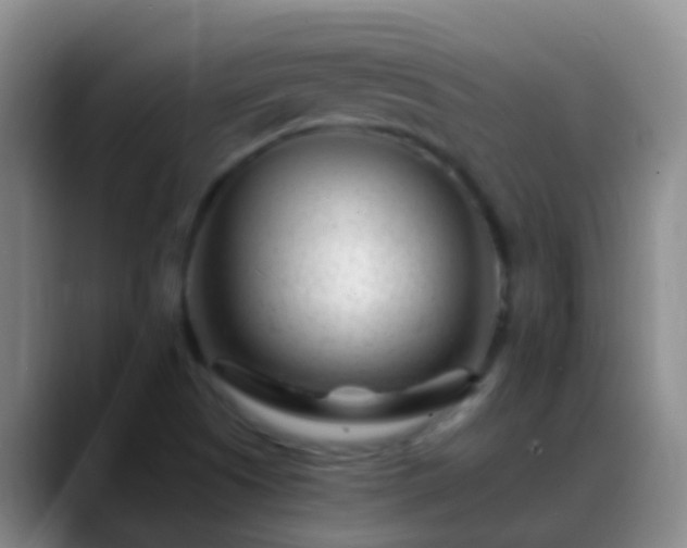 X0000088891505200706151820