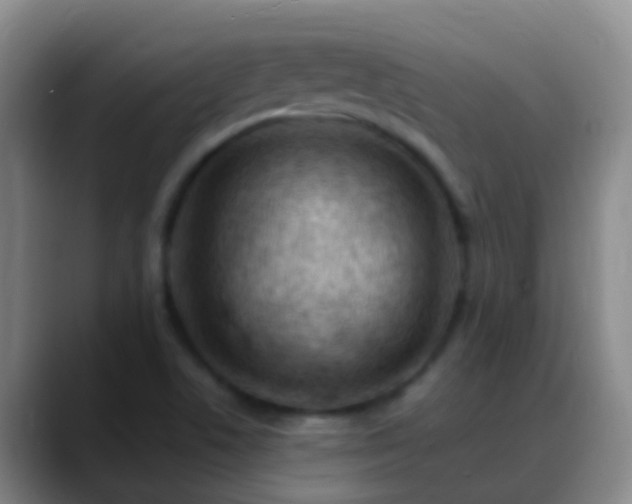 X0000088891506200706151820