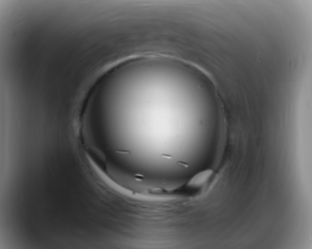 X0000088891507200706151820