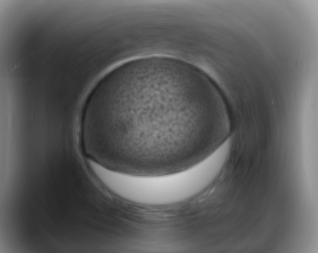 X0000088891508200706151820