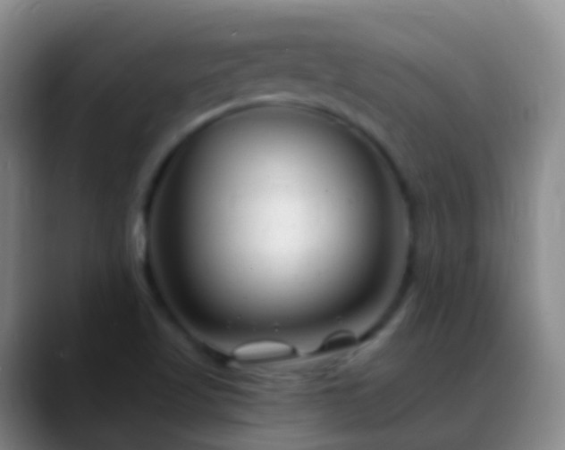 X0000088891509200706151820