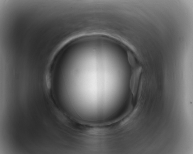 X0000088891510200706151820