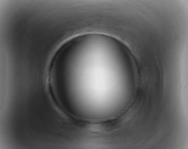 X0000088891511200706151820