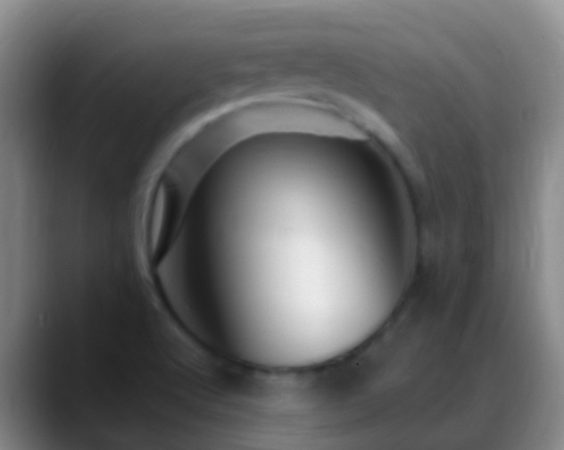 X0000088891512200706151820