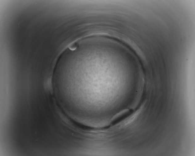 X0000088891513200706151820