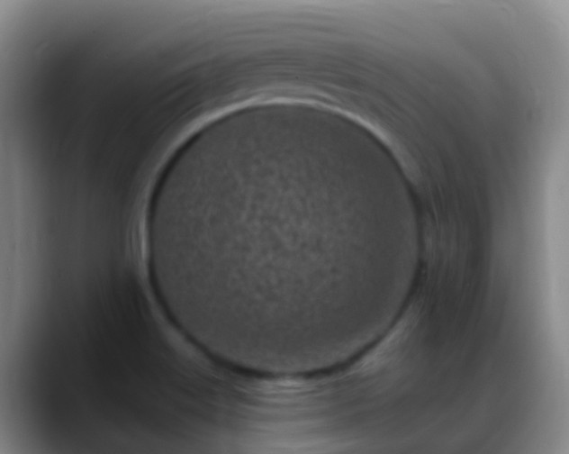 X0000088891515200706151820