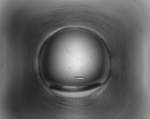 X0000088891517200706151820