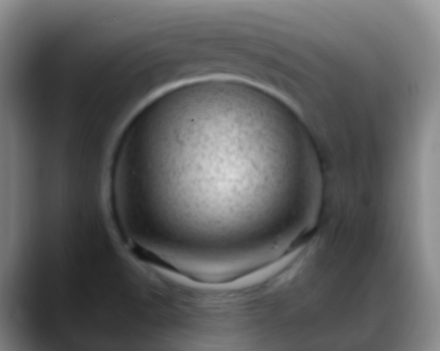 X0000088891518200706151820