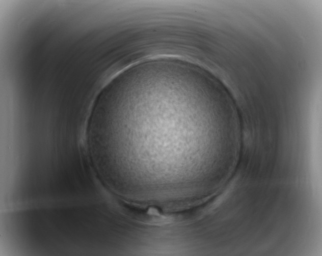 X0000088891521200706151820