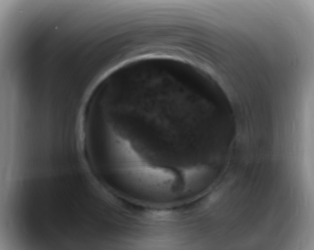 X0000088891522200706151820