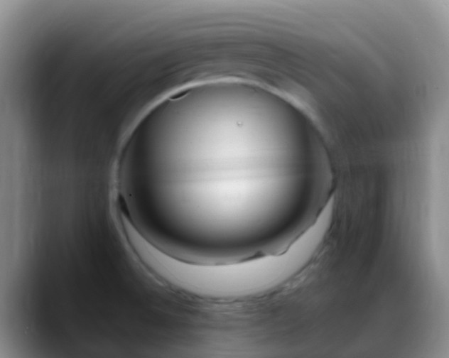 X0000088891524200706151820