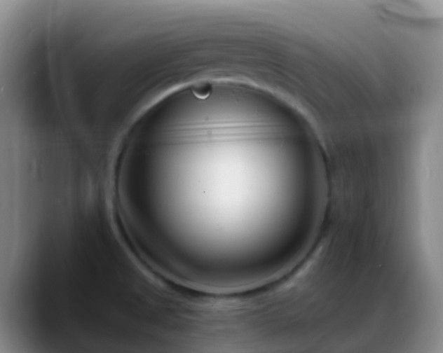 X0000088891525200706151820