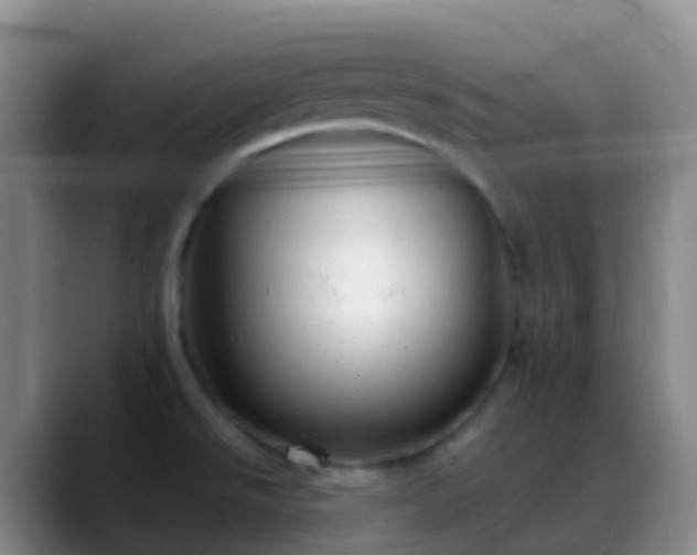 X0000088891526200706151820