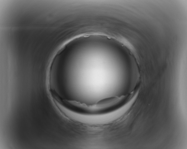 X0000088891528200706151820