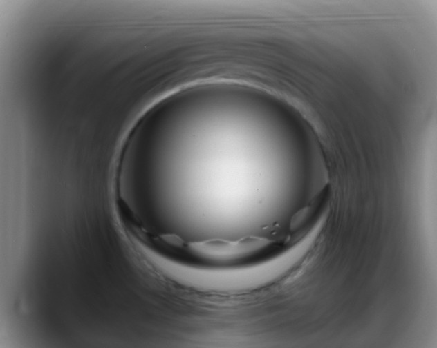 X0000088891530200706151820