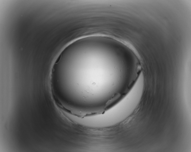 X0000088891532200706151820