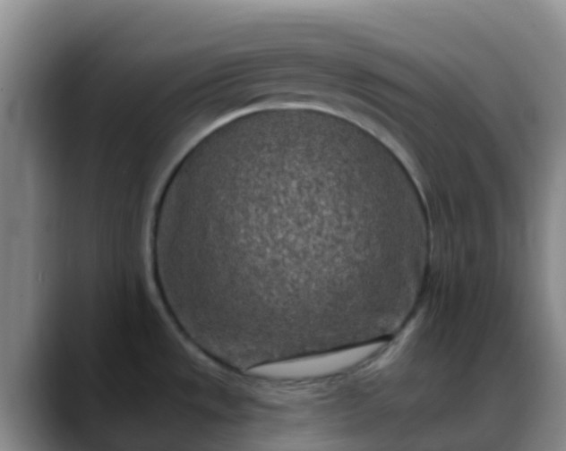 X0000088891533200706151820