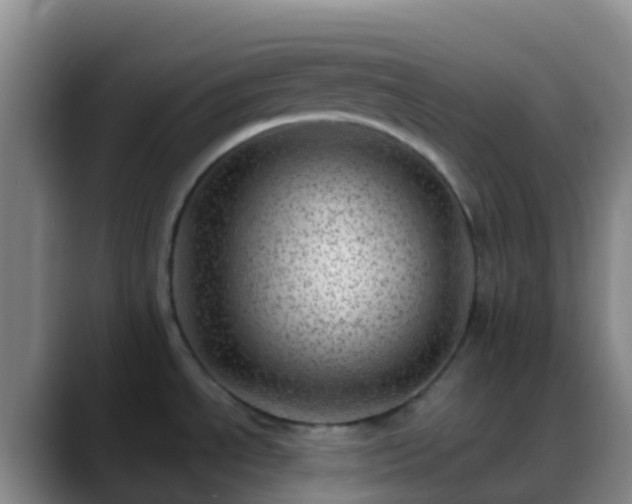 X0000088891534200706151820