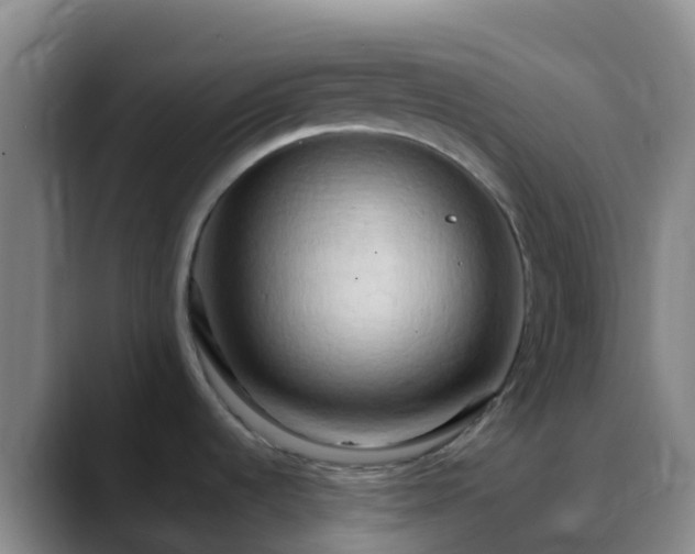 X0000088891536200706151820