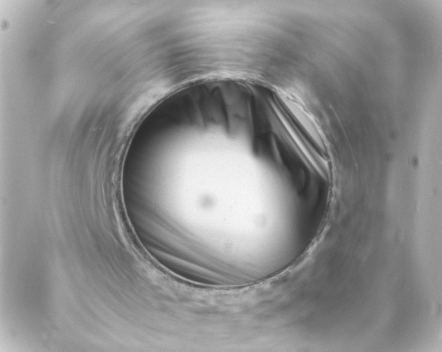 X0000088890001200706221851