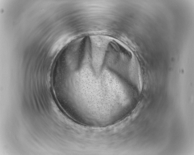 X0000088890002200706221851