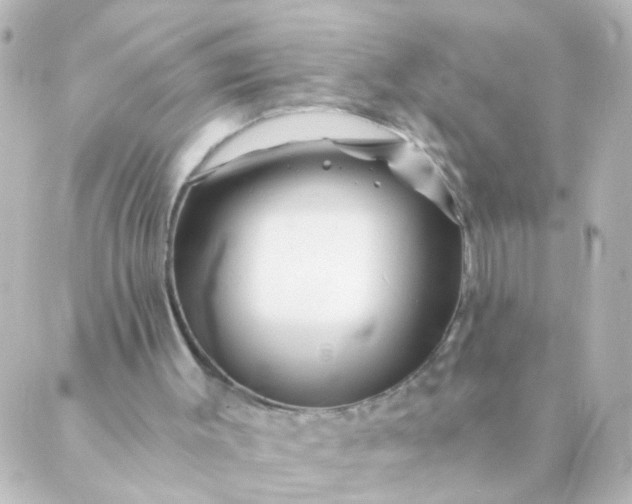 X0000088890003200706221851