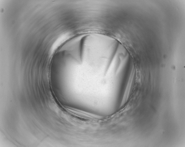 X0000088890004200706221851