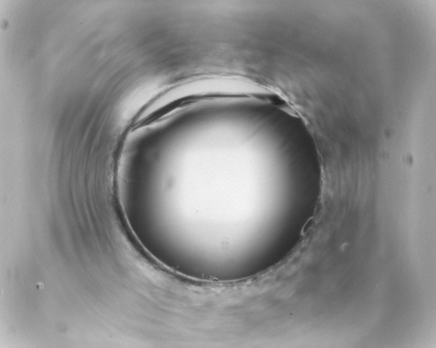 X0000088890005200706221851