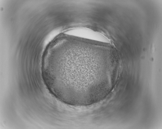 X0000088890006200706221851