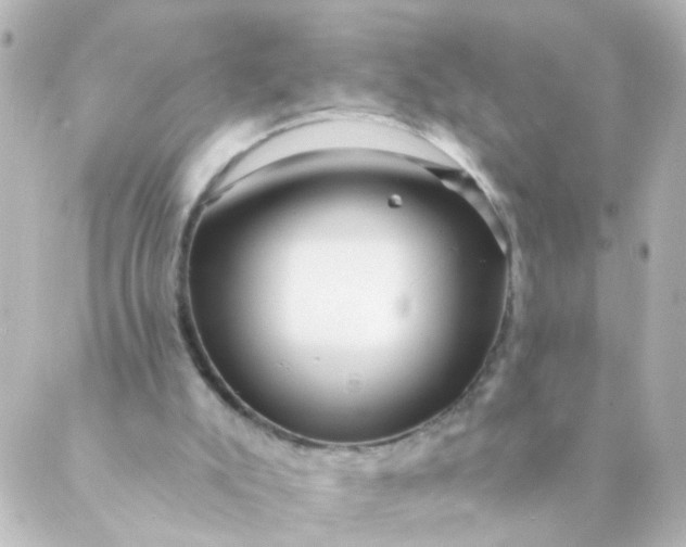 X0000088890007200706221851