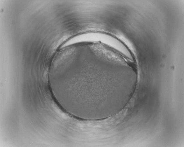 X0000088890009200706221851