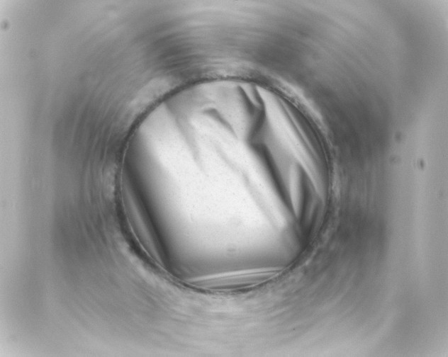 X0000088890010200706221851