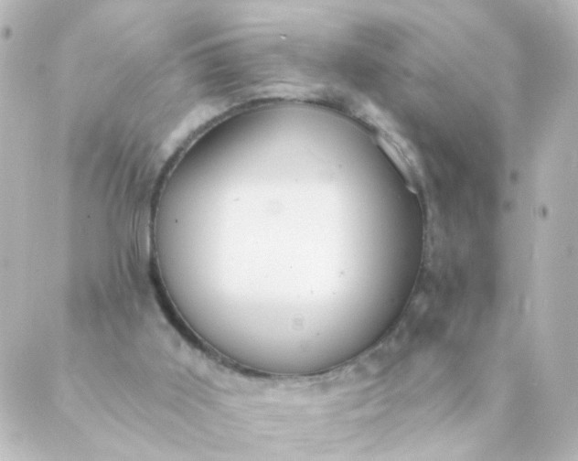 X0000088890011200706221851