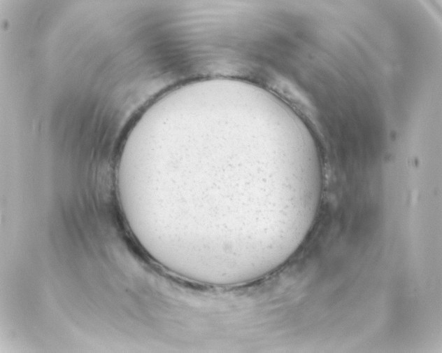 X0000088890012200706221851