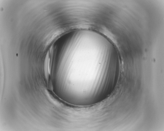 X0000088890013200706221851