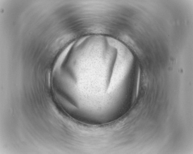 X0000088890014200706221851