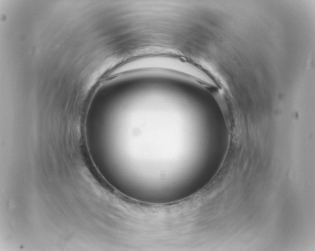 X0000088890015200706221851