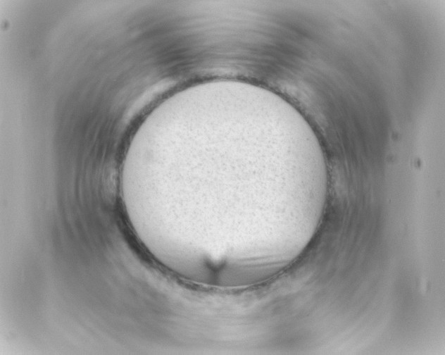 X0000088890016200706221851