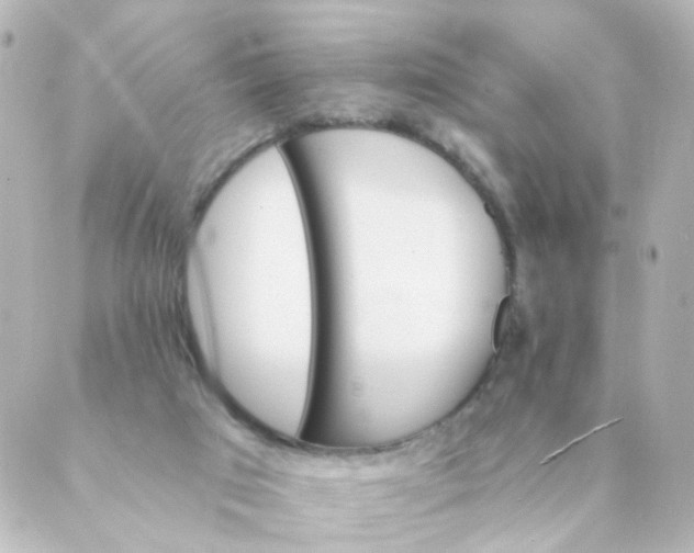 X0000088890017200706221851