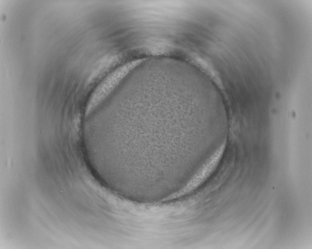 X0000088890018200706221851