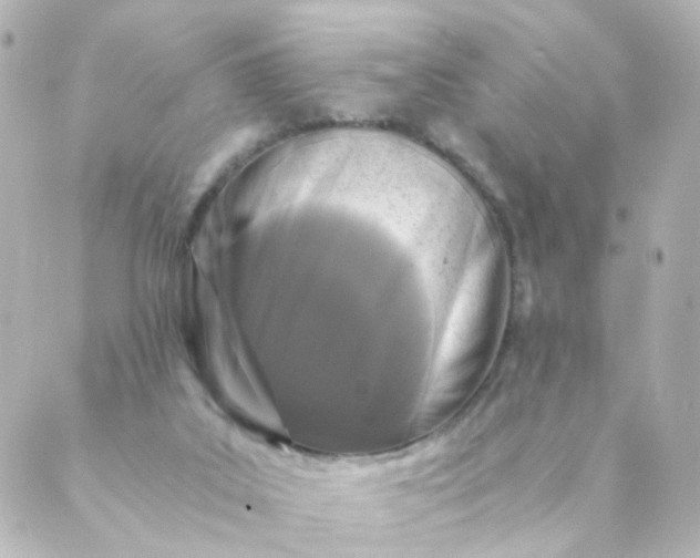 X0000088890019200706221851