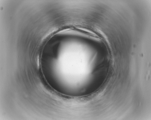 X0000088890020200706221851