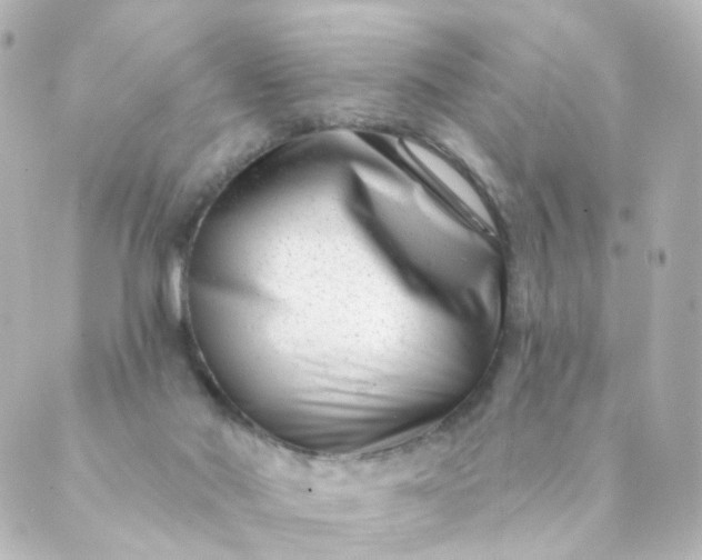 X0000088890022200706221851